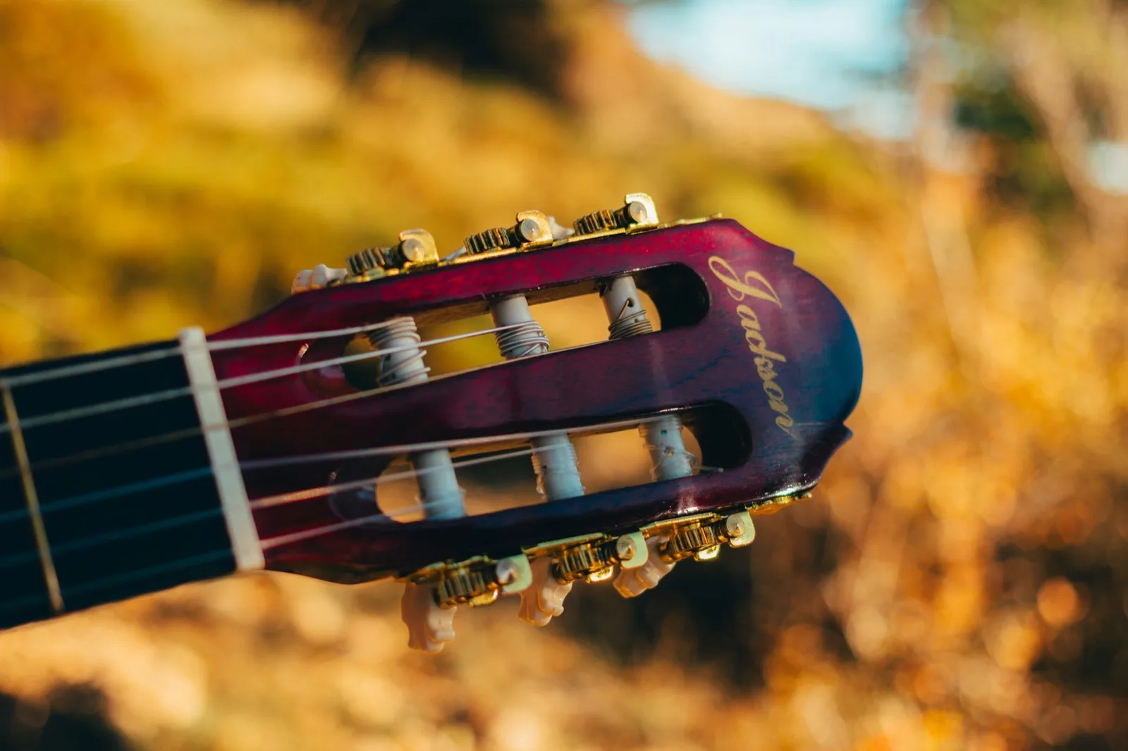 Cận cảnh đầu đàn guitar, các trục lên dây bắt sáng